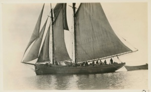 Image of Fishing schooner